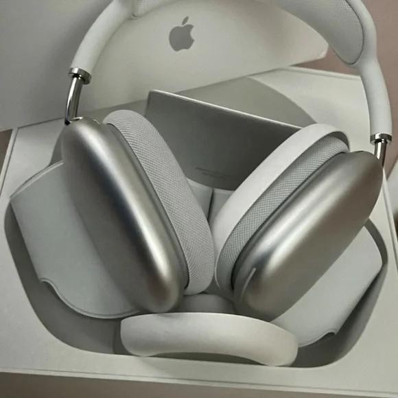 Apple Metallic Silver Headphones